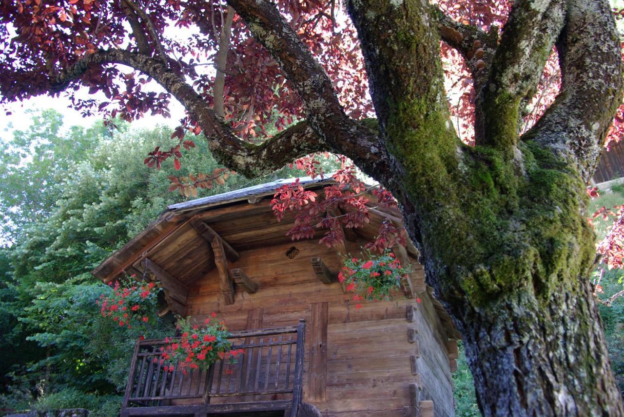 Appart Pointe De Nyon Morzine Centre 4 A 5 Pers Calme Jardin Vue Parking Exterior foto